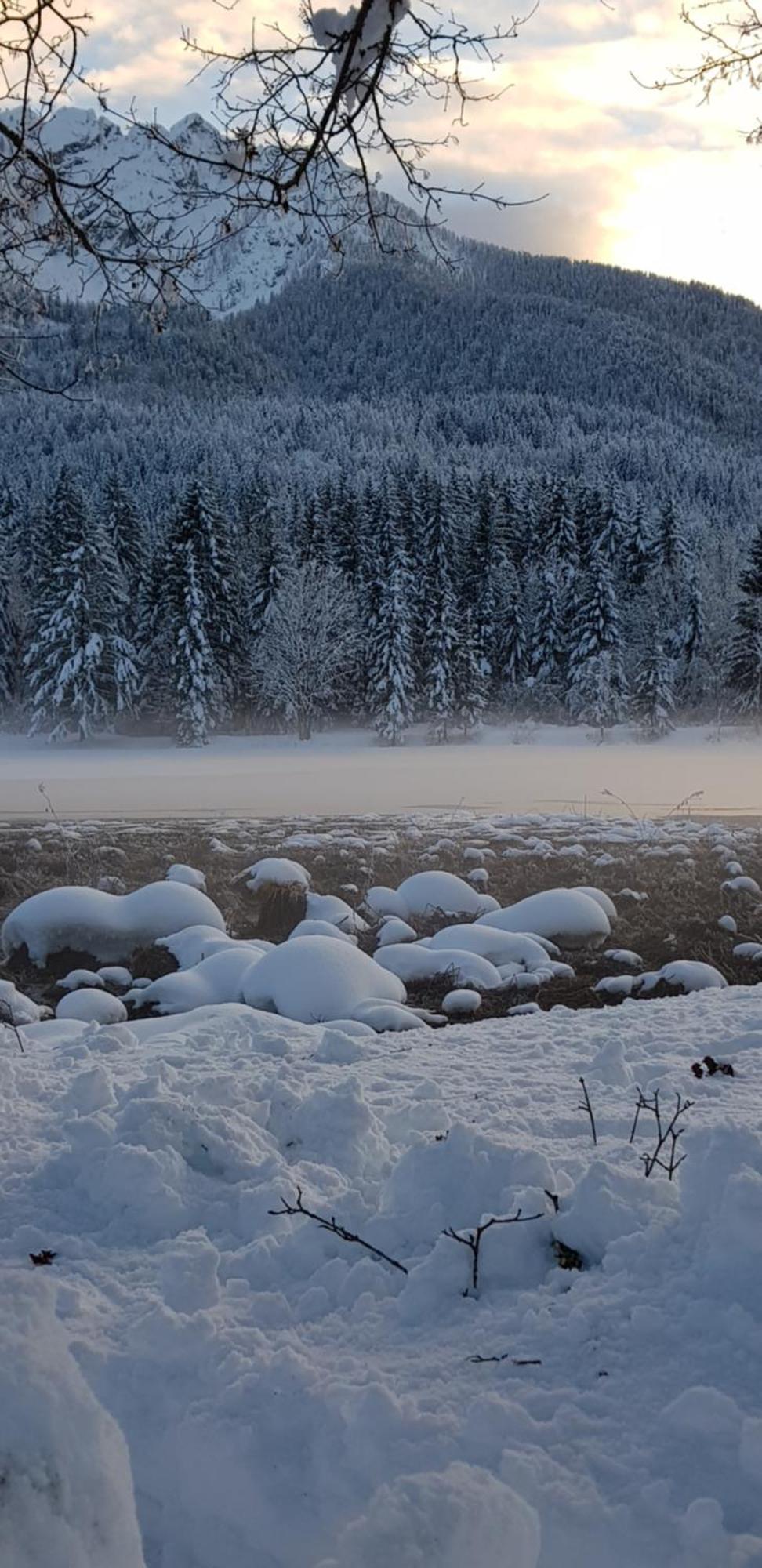 Zajcek Apartma Mojstrana Exterior foto