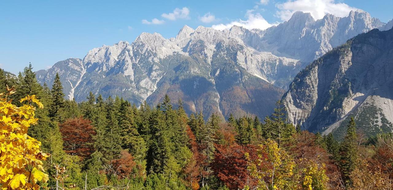 Zajcek Apartma Mojstrana Exterior foto