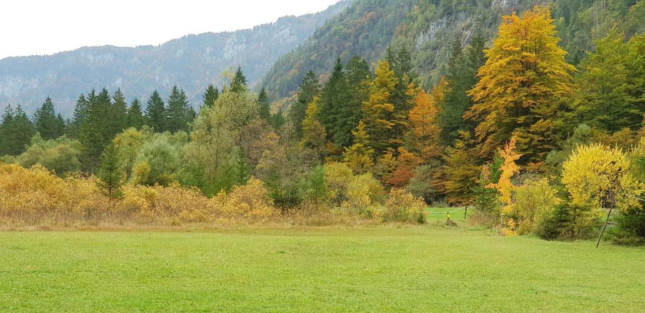 Zajcek Apartma Mojstrana Exterior foto