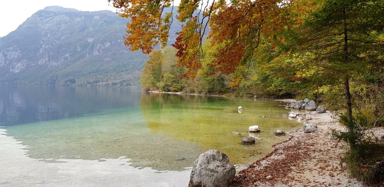 Zajcek Apartma Mojstrana Exterior foto